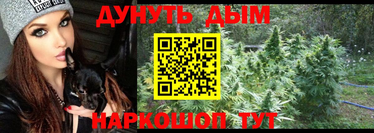 МАРИХУАНА план  Конопля SATIVA & INDICA  МАРИХУАНА AK-47  Мыски  Вход с VPN 